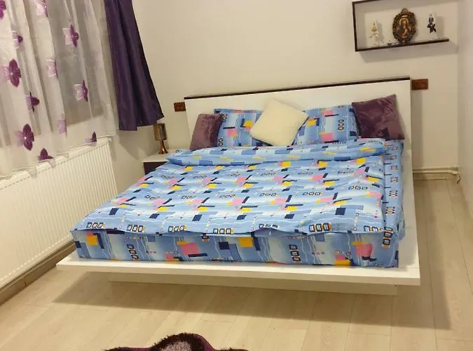 Apartament Oana\'S Home