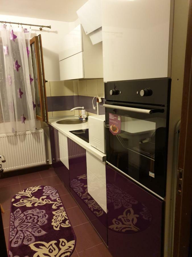 Oana's Appartement Orşova