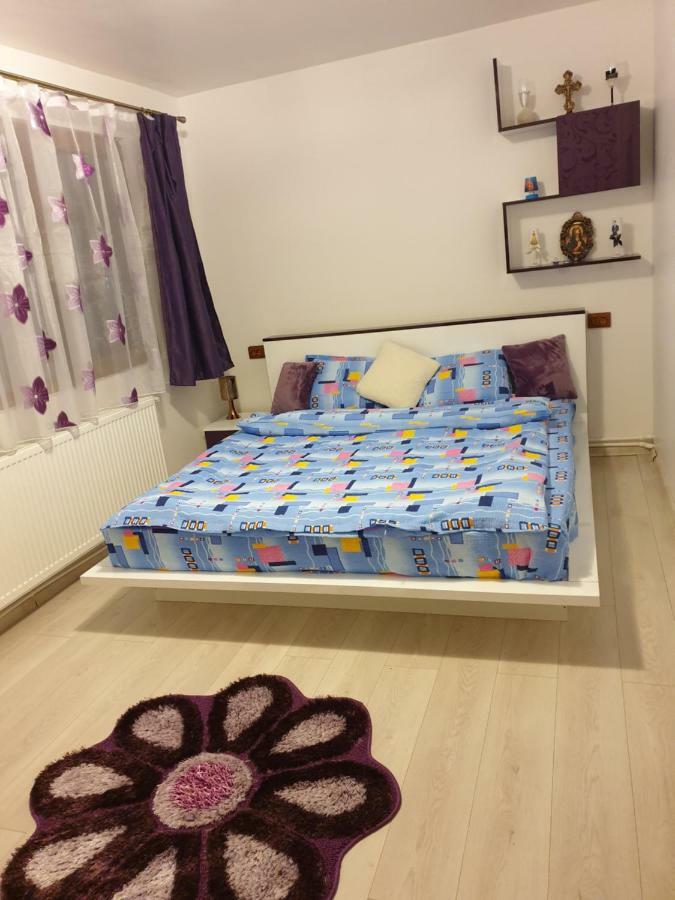Apartment Oana's